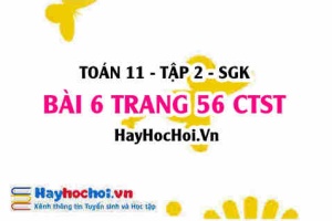Bài 6 trang 56 Toán 11 tập 2 Chân trời sáng tạo
